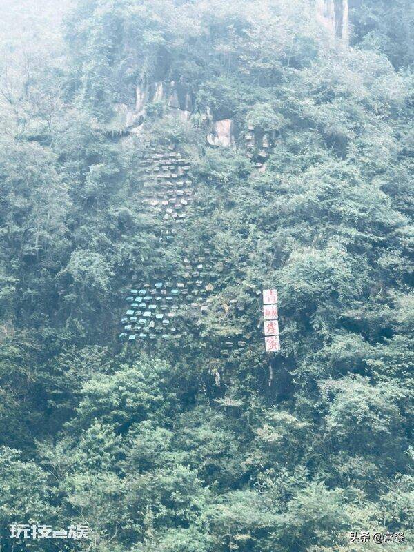 青城山海拔多少米高(成都都江堰青城山景区的游玩攻略)-图片16